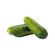 LEGUMES-PEPINO-CAIPIRA-KG